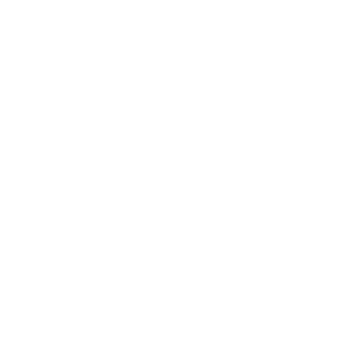 P60_Exp_icon_2