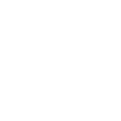 P60_Exp_icon_3